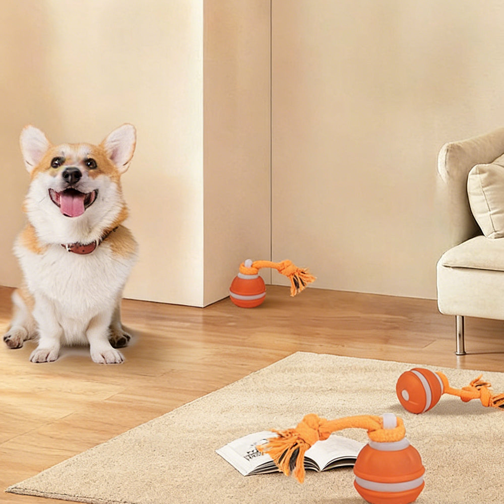 Motion Activated Interactive Dog Ball Toy