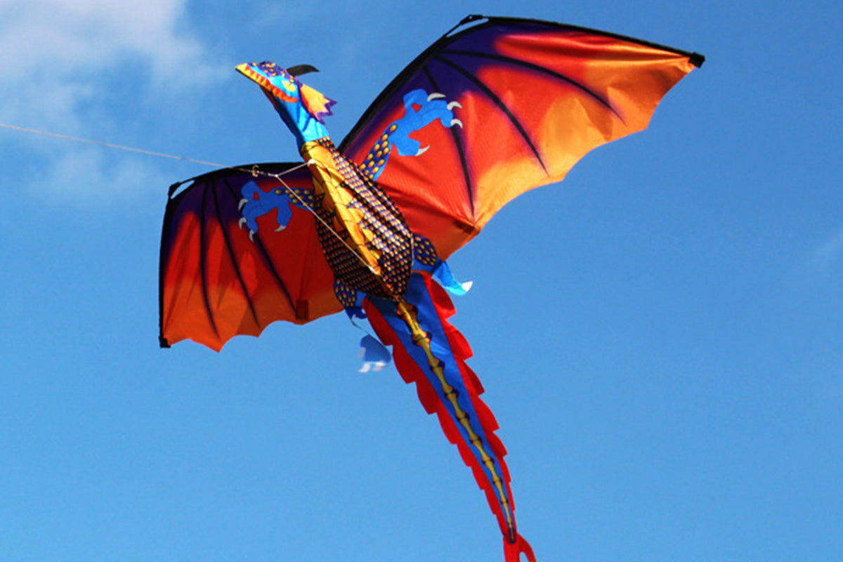 2X Outdoor Colorful 3D Dragon Flying Kite with 100m Tail Line 1.4m