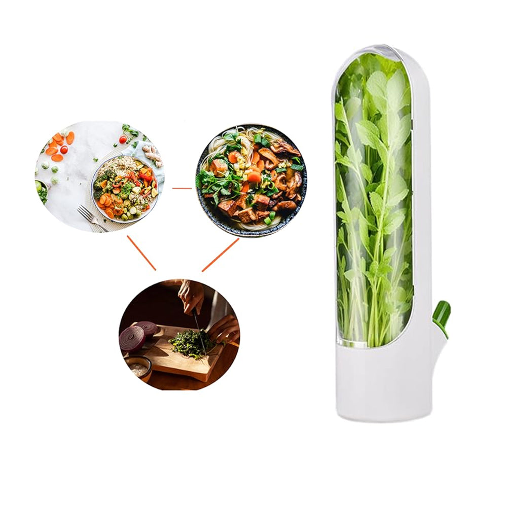 Herb Vegetable Saver for Refrigerator