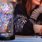Eternal Rose Night Light in Glass Dome with LED