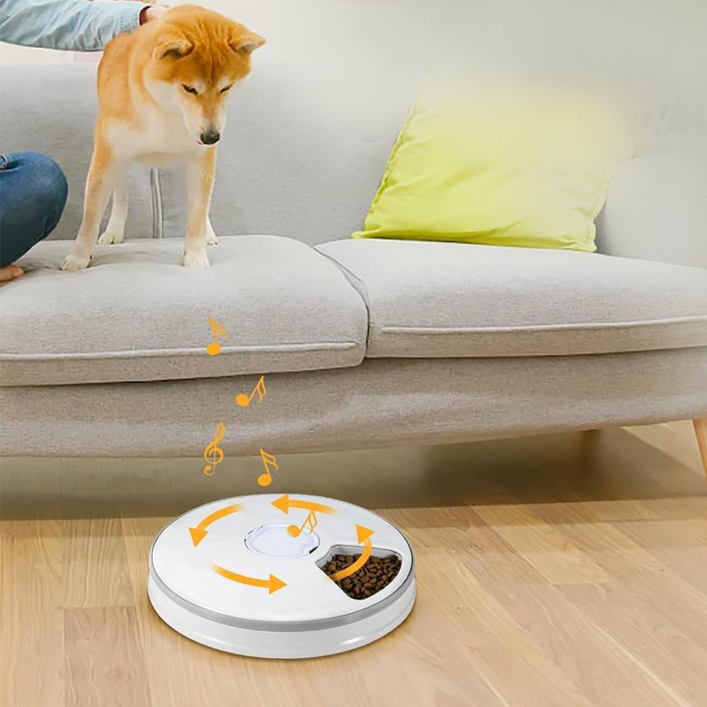 6 Meals Automatic Pet Feeder with Timer