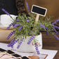 3Pcs Metal Herb Plant Pot with Tray and 10Pcs Mini Chalkboard Wooden Plant Tags Stakes