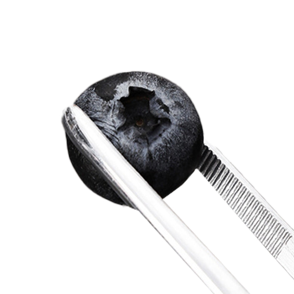 2Pcs Silver Stainless Steel Long Food Tong Straight Tweezers Kitchen Tool