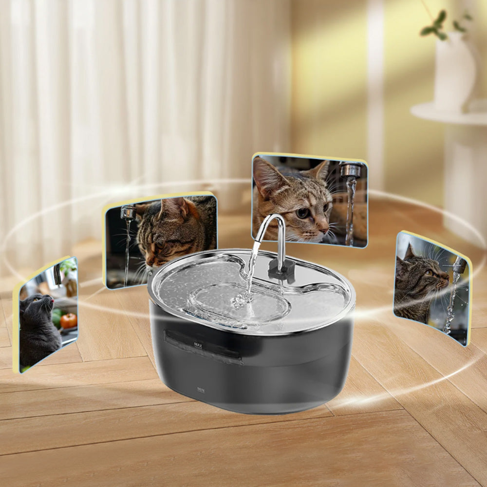 3.2L Cat Water Fountain Dog Bowl Fountains Automatic Pet Dispenser Auto Watering Dish Supplies