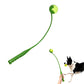 60cm Pet Dog Puppy Tennis Ball Launcher with Ball