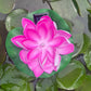 Solar Floating Lotus Light Solar Powered Floating Flower Light
