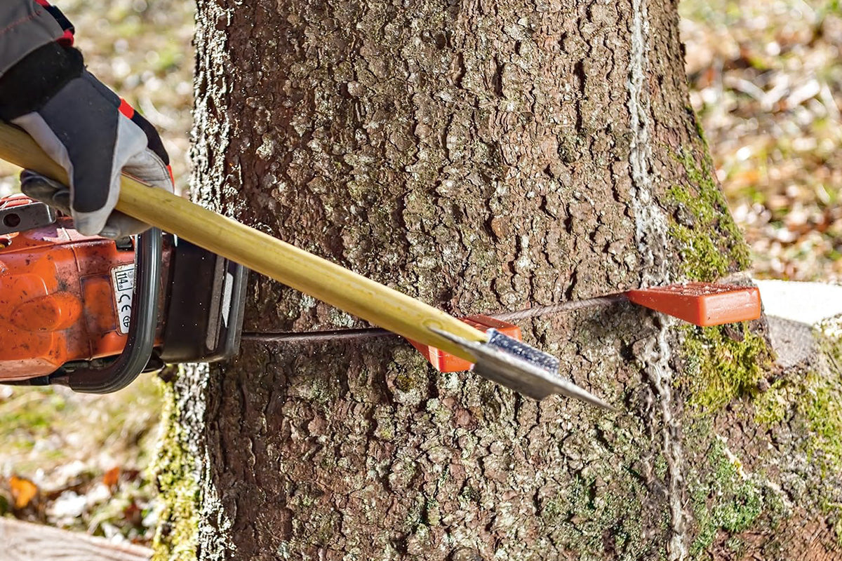 3-Pack Felling Wedges 6/8/10 Inch Anti-Pinch Directional Tree Cutting Wedges