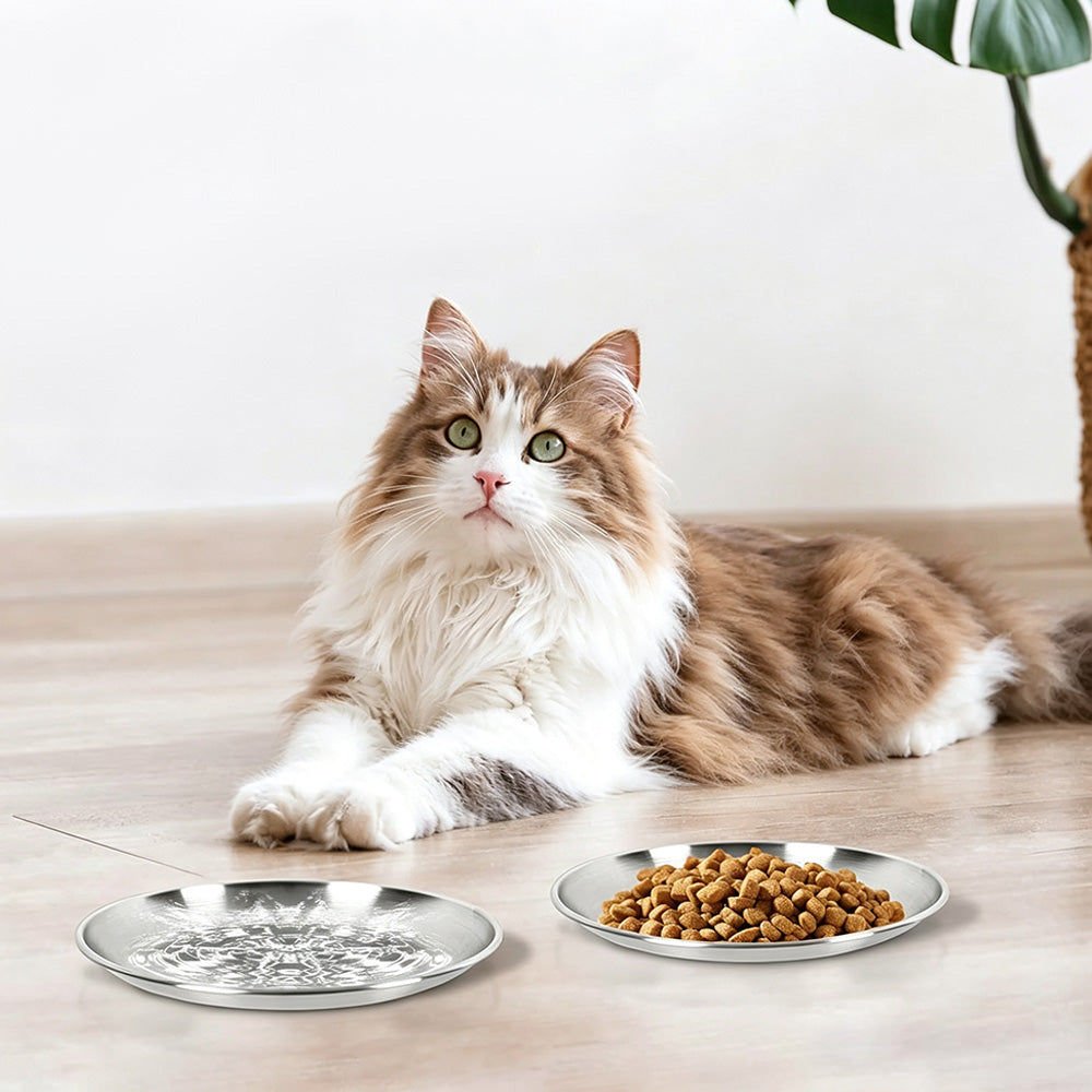 4Pcs Stainless Steel Pet Bowls Durable Shallow Pet Feeding Dishes for Cats Dogs-Silver