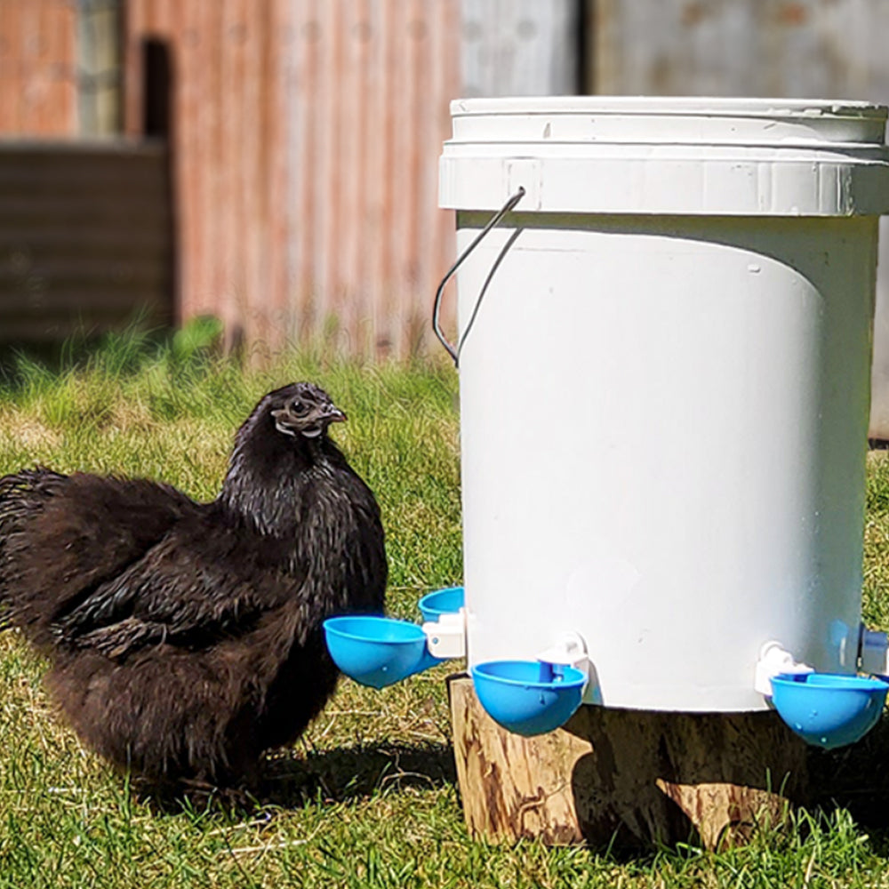 10Pcs Automatic Chicken Drinking Bowl Feeder