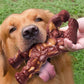Nylon Indestructible Dog Chew Toy for Aggressive Chewers