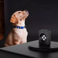 Rechargeable Outdoor Anti Bark Device with Ultrasonic Dog Bark Control