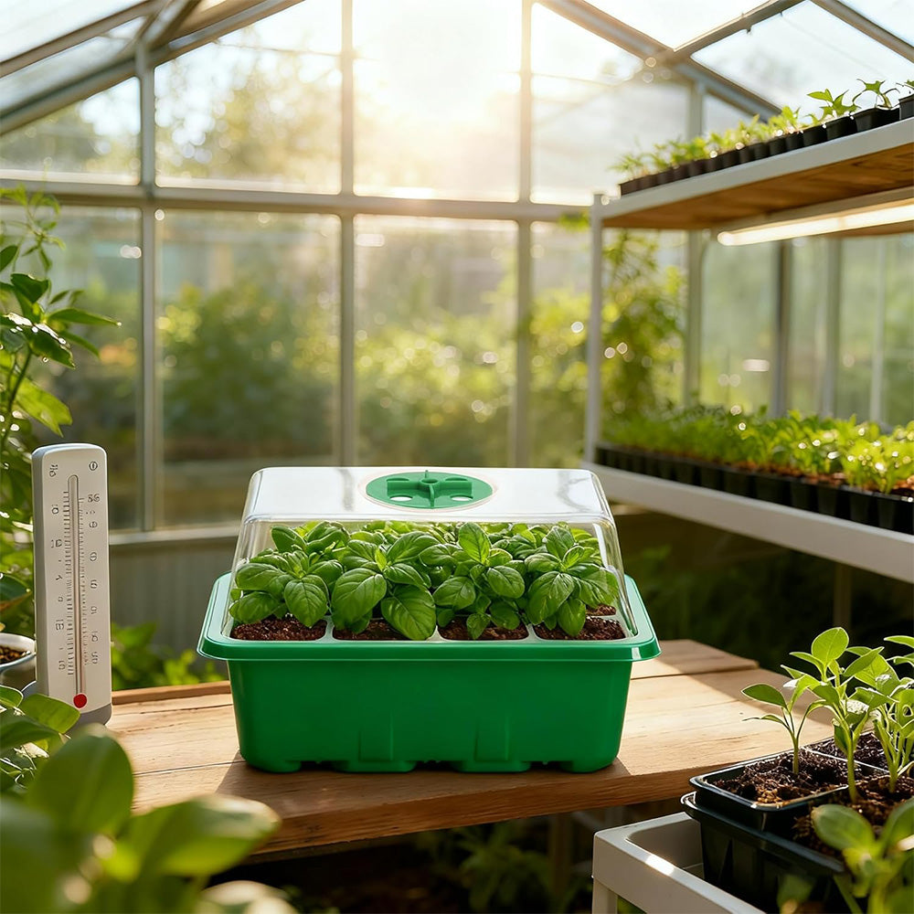 5Pcs Seed Trays 12 Cells Seed Starter Kit for Seeds Growing Starting