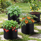 5 Pcs Nonwoven Grow Bags for Fruit Flowers and Vegetables