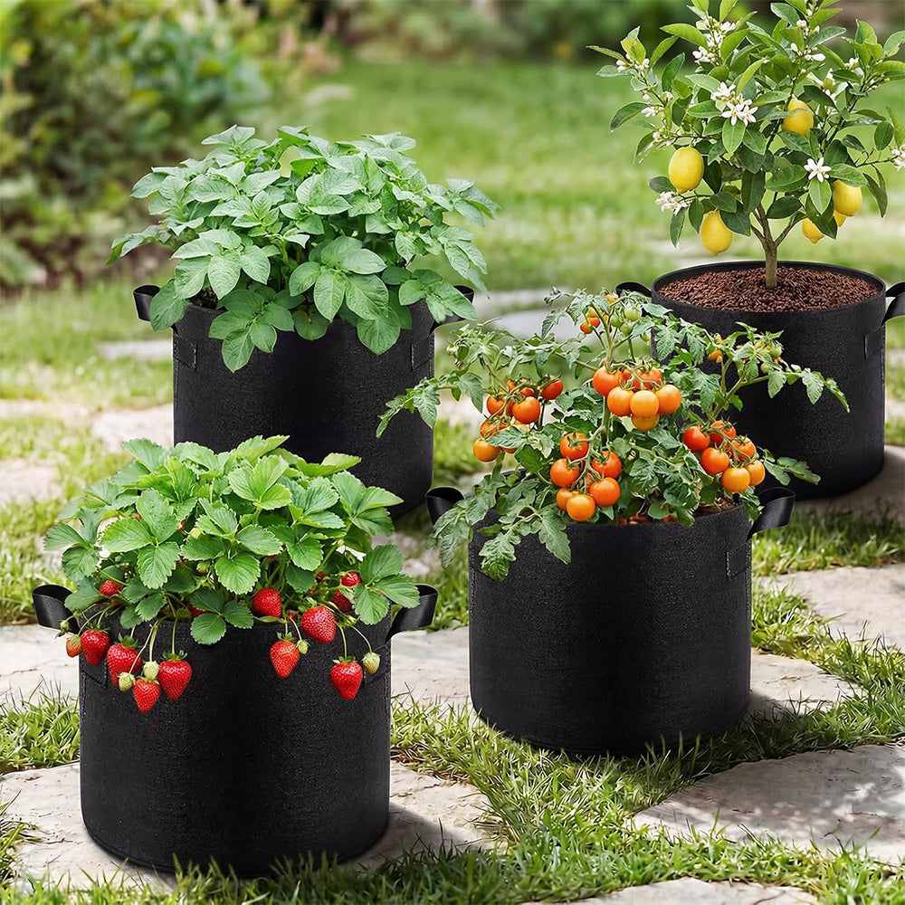 5 Pcs Nonwoven Grow Bags for Fruit Flowers and Vegetables