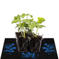 120x100cm Plants Black Capillaries Mat Self Watering System 3mm Thick