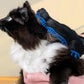2X1 Pair Pet Grooming Gloves for Cats and Dogs Hair Removal and Massage
