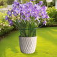 6PCS Plant Supports Stakes Half Round Garden Stakes Plant Support Green Plant Support Ring Border