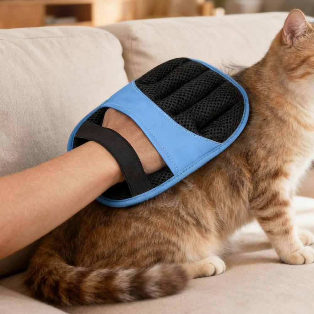Electrostatic Pet Hair Remover Gloves Lint Brush for Furniture auto seats-Blue