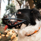 Adjustable Pet Dog Anti Bark Mesh Mask