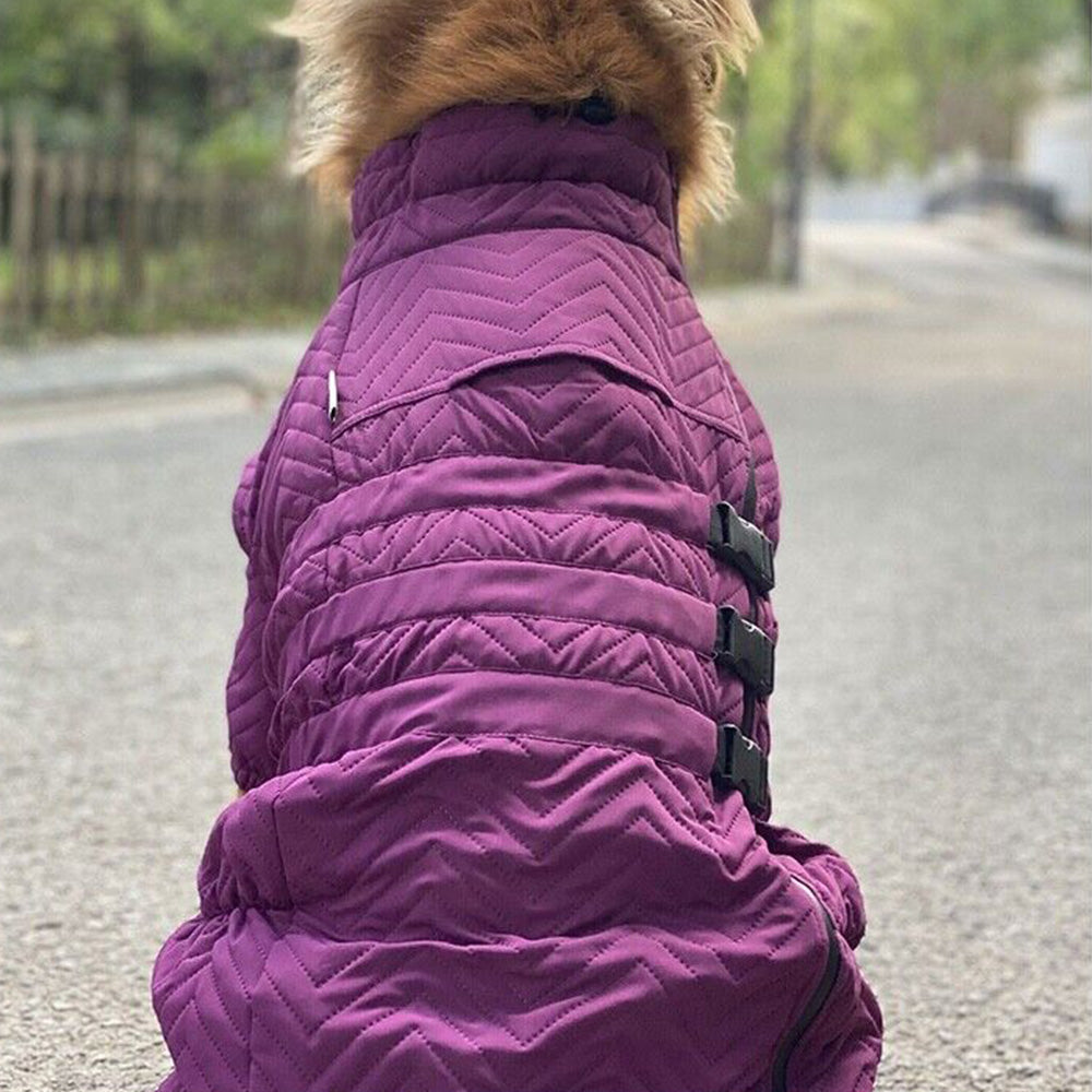 Dog Coat 4 Legs Covered Windproof Waterproof Dog Winter Jacket-Purple