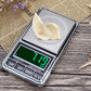 Stainless Steel Mini Pocket Digital Scale 500g/0.1g Portable Pocket Electronic Scale