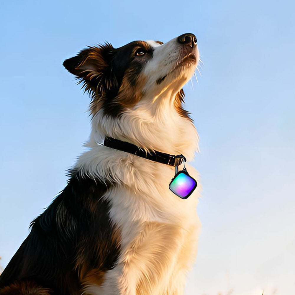 LED Clip On Pet Collar Light for Dogs Cats Outdoor Activities (Copy)