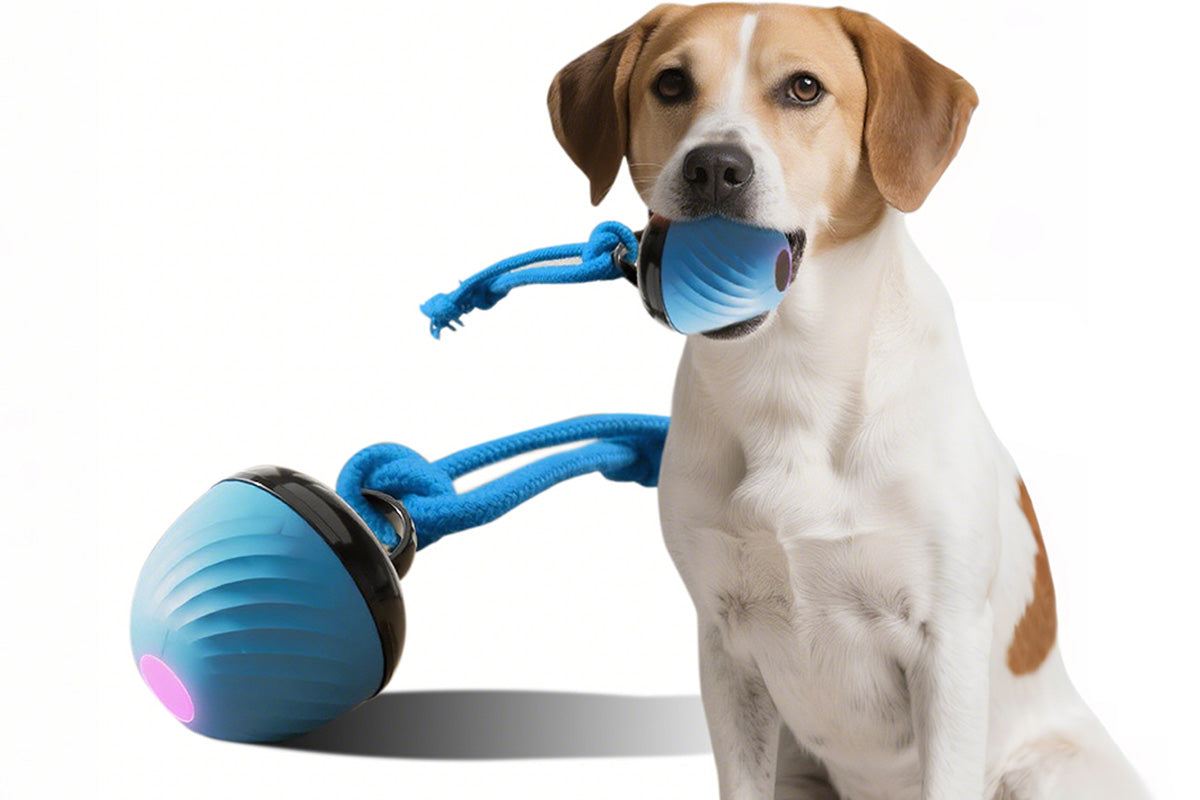 Squeaky Dog Toy Active Rolling Ball Interactive Dog Toys With Motion Activated