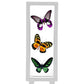 8Pcs 3D Floating Frame Display Cases