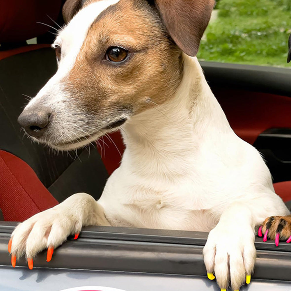 12 Colors Pet Nail Polish Marker Pens Set