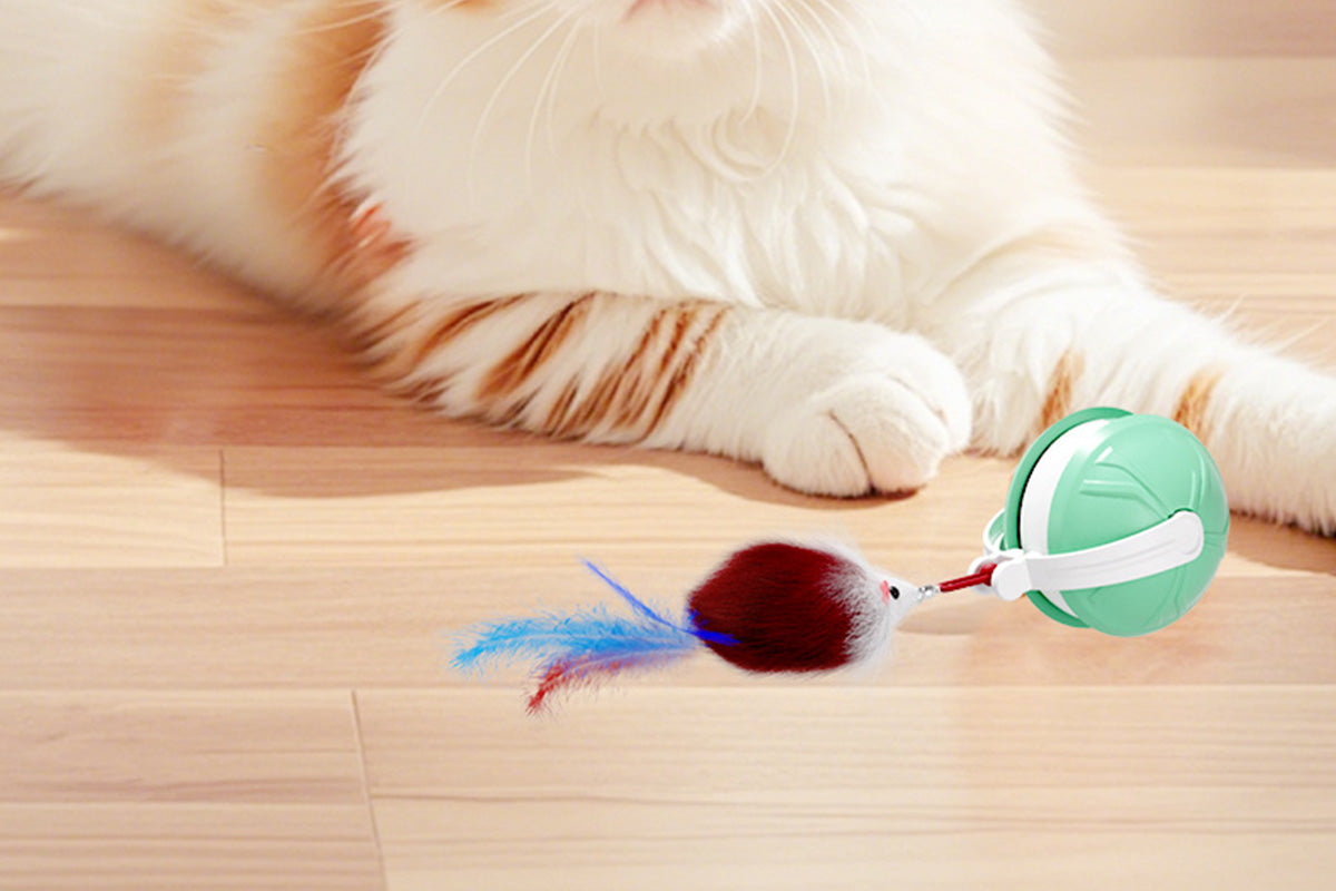 Interactive Dog Toys Electric Automatic Smart Pet Toys Rolling Ball Toys For Small Dogs