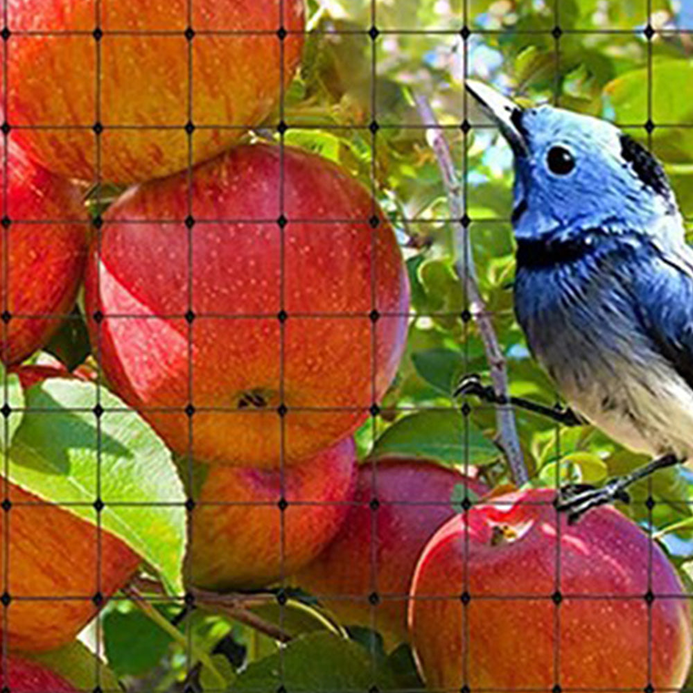 Bird Netting Polypropylene Anti Bird Garden Net 1.5cm Mesh Farm Orchard Vineyard Protection