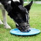 Breathable Rubber Dog Muzzle with Reflective Strap for Walking