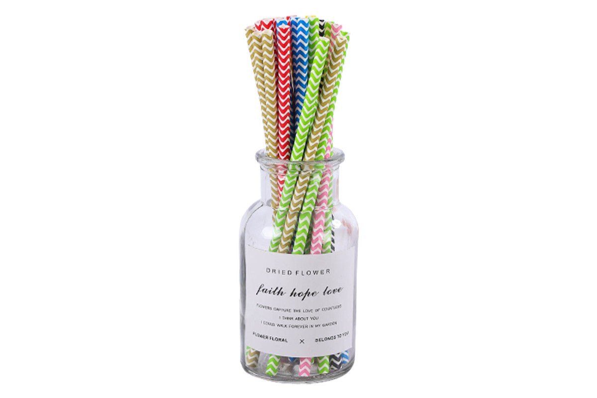 200 Pieces of Biodegradable Disposable Drinking Straws with Colourful Pattern