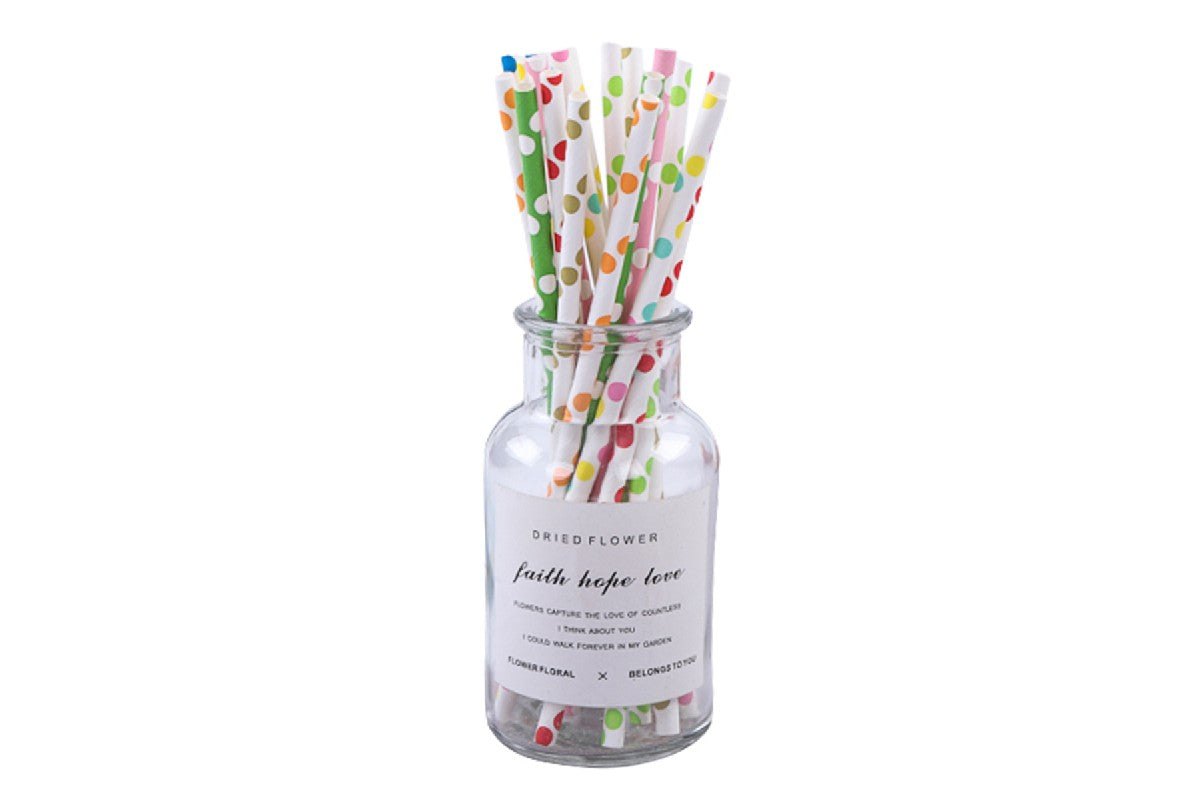 200 Pieces of Biodegradable Disposable Drinking Straws with Colourful Pattern
