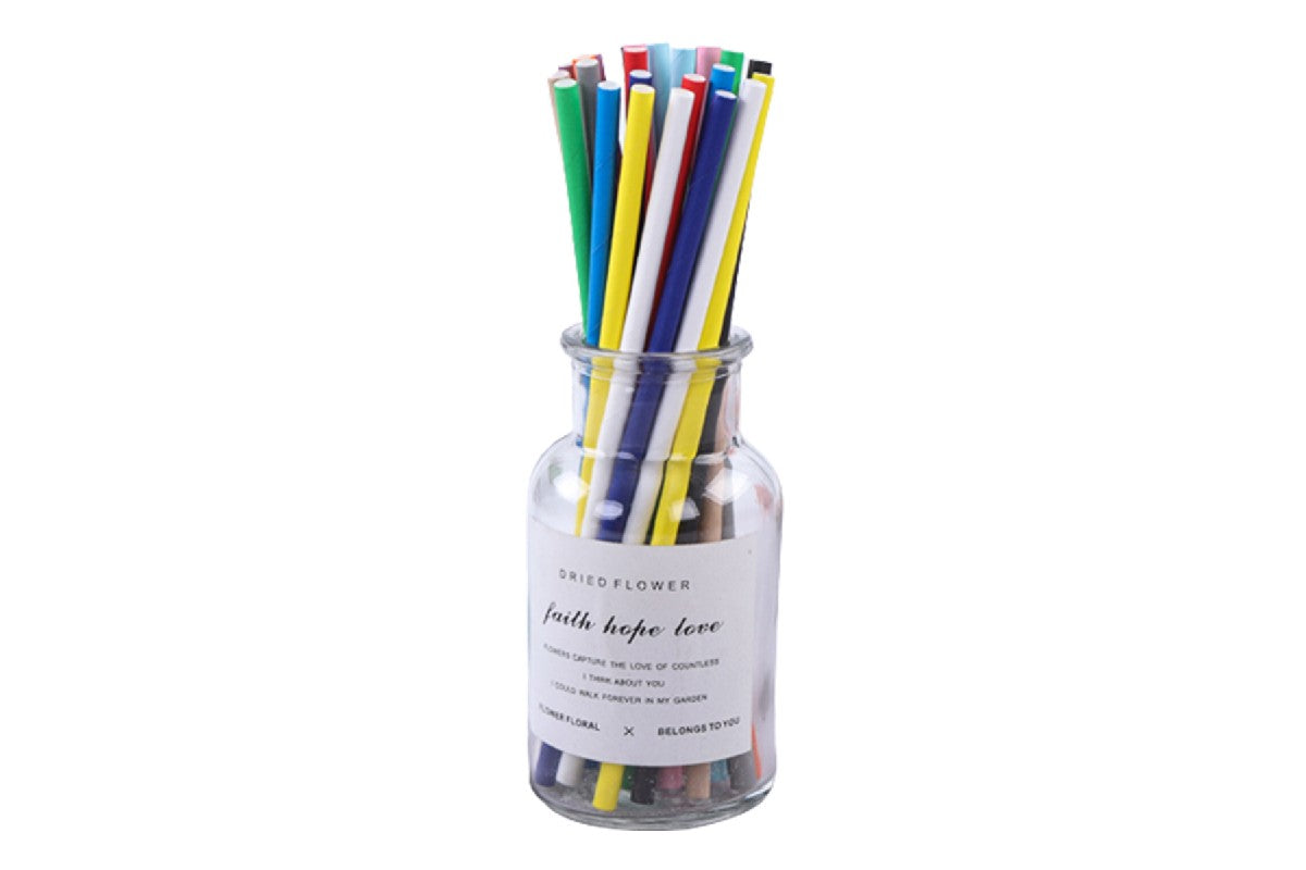 200 Pieces of Biodegradable Disposable Drinking Straws with Colourful Pattern