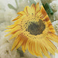 Pair of Floral Sunflower Window Curtains