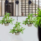 2Pcs Plant Hanger Flower Pulley Hook Hanging Retractable Garden Plant