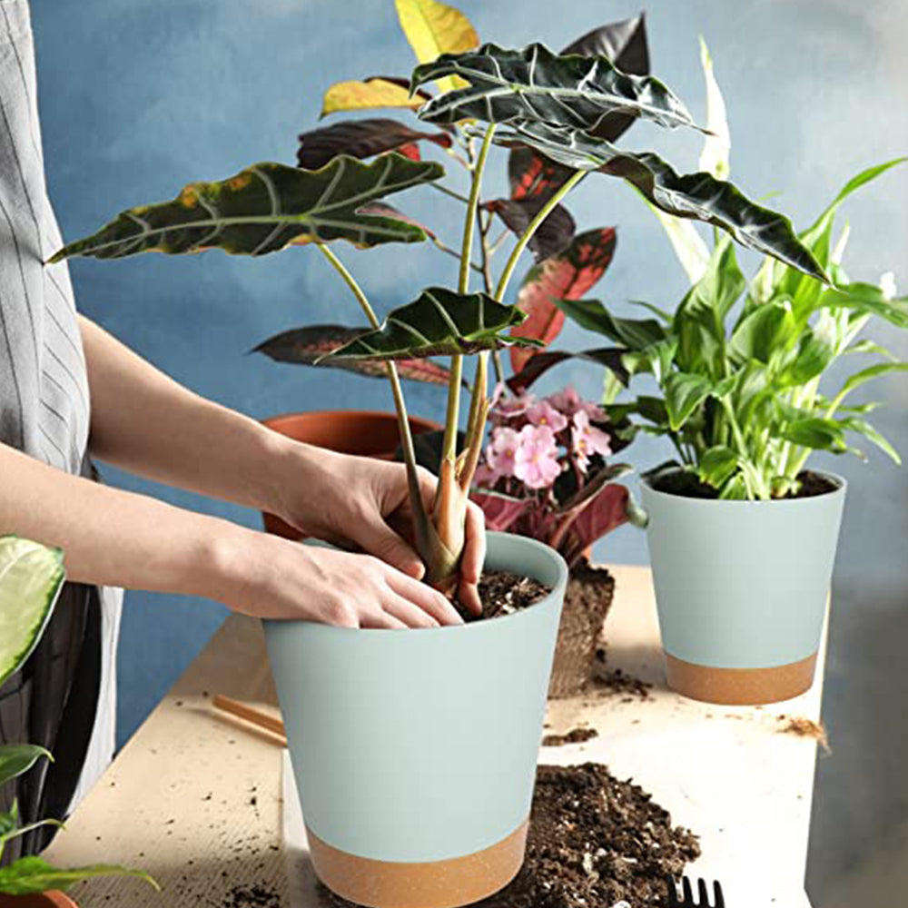 Set of 6Pcs Self Watering Planters Nursery Plant Pots with Drainage Hole for Indoor Outdoor Plants