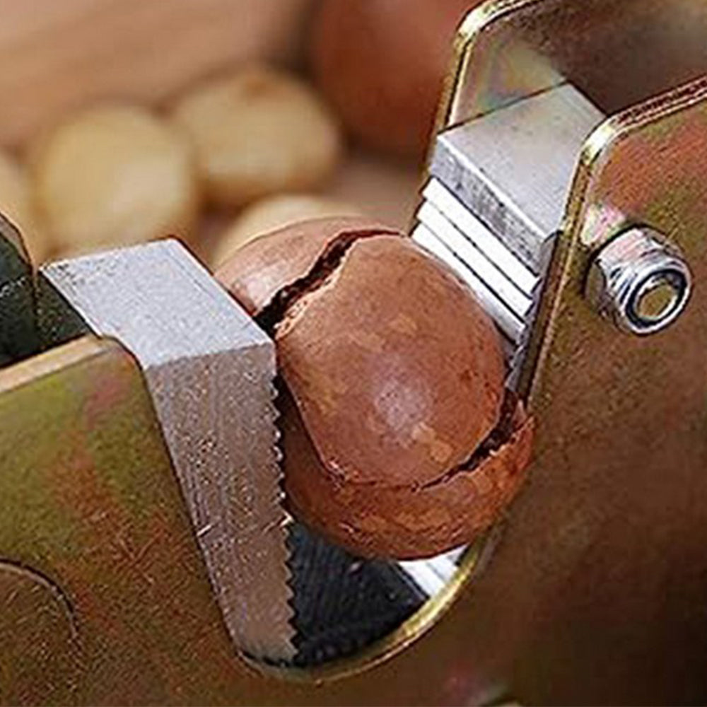 Macadamia Opener Walnut Tool Nut Cracker Nut Tong