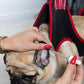 Pet Grooming Hanging Hammock Harness Set Portable Breathable Groom