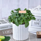 25Pcs Copper Metal Plant Tags Plant Labels Plant Nursery Tags