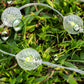 3M USB Mosquito Repellent String Light