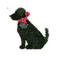Dog Shaped Christmas Wreath-Dog with Snowflake Ornament