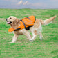 Dog Wings Adjustable Flotation Swim Vest with Chin Float