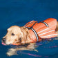 Dog Wings Adjustable Flotation Swim Vest with Chin Float