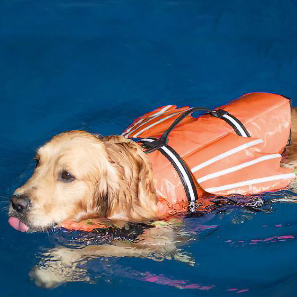 Dog Wings Adjustable Flotation Swim Vest with Chin Float