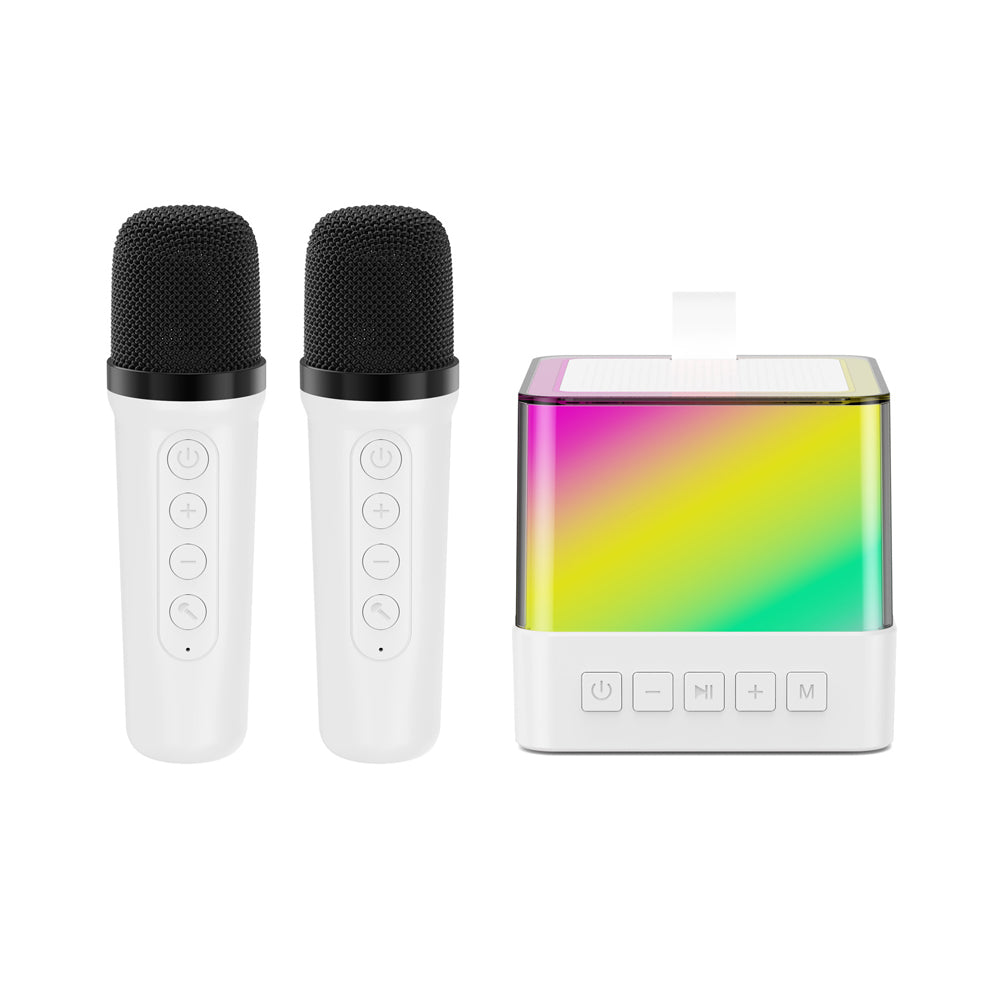 Mini Karaoke Machine Portable Bluetooth Speaker with 2 Wireless Microphones