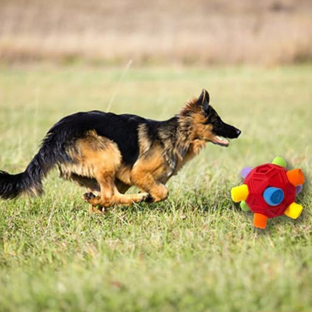 Dog Snuffle Ball Slow Feeder Puzzle Toy for Treats