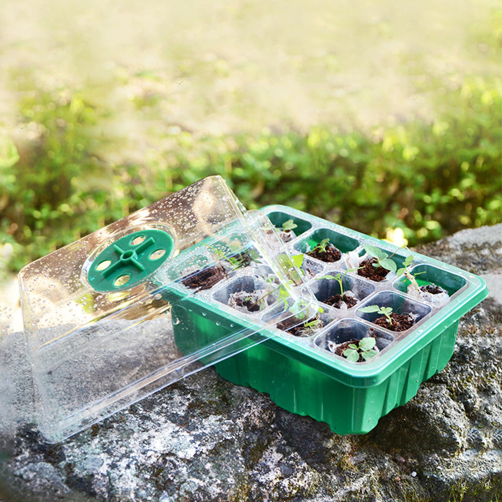 5Pcs Seed Trays 12 Cells Seed Starter Kit for Seeds Growing Starting
