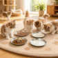 4Pcs Stainless Steel Pet Bowls Durable Shallow Pet Feeding Dishes for Cats Dogs-Gold